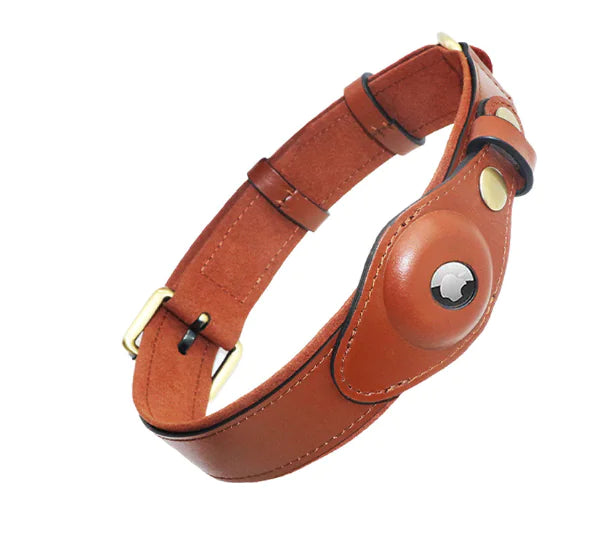 Leather Anti-Lost Dog Collar